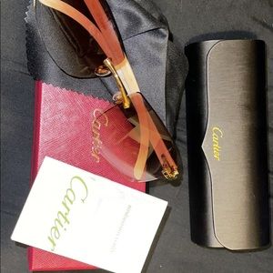 Cartier Buffalo Horn glasses